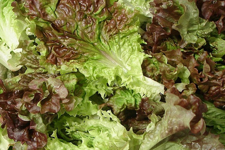 Lettuce