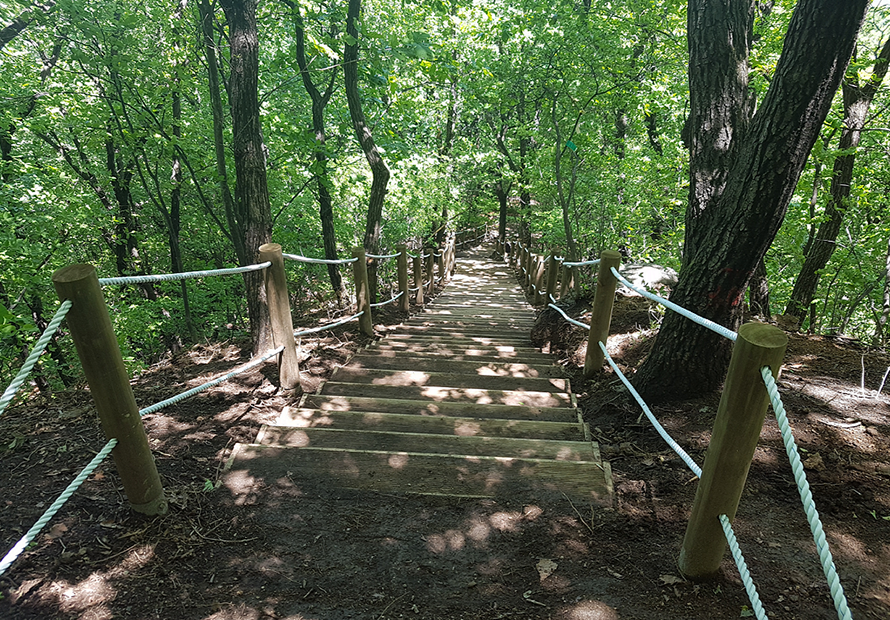 나무계단 길 사진