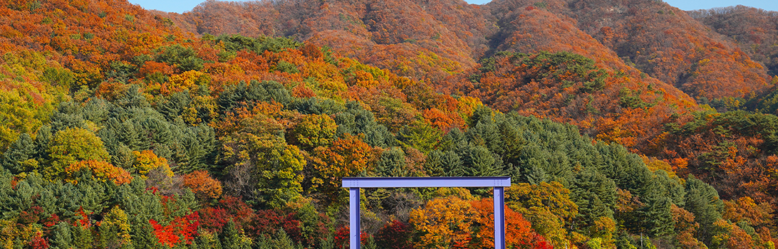 앵자봉과 천진암 전경2