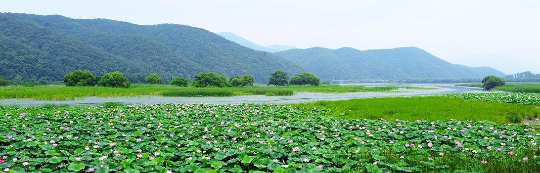 경안습지생태공원 전경1