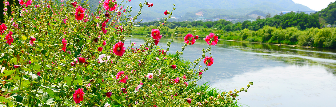 경안습지생태공원 전경5