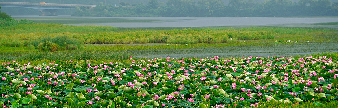 경안습지생태공원 전경6
