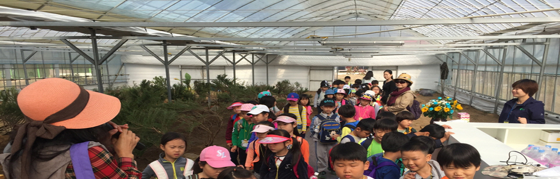 오색향농원 전경4