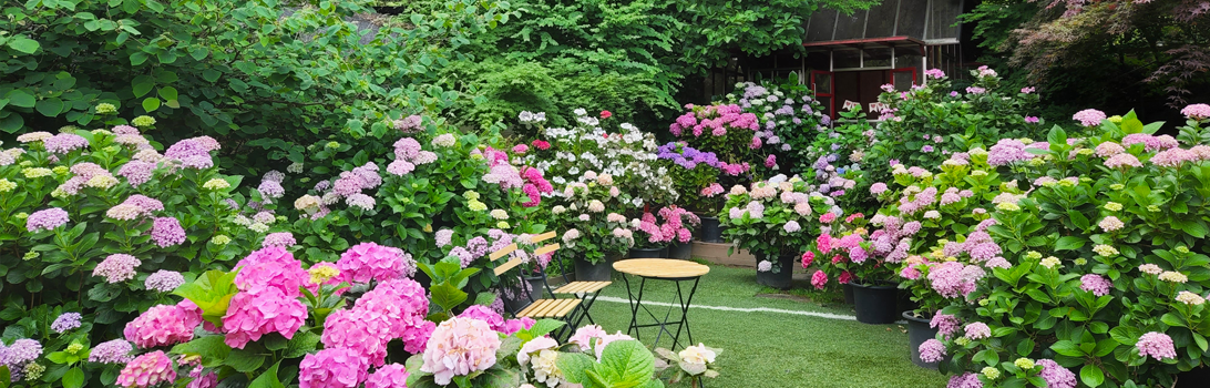 율봄식물원 전경2