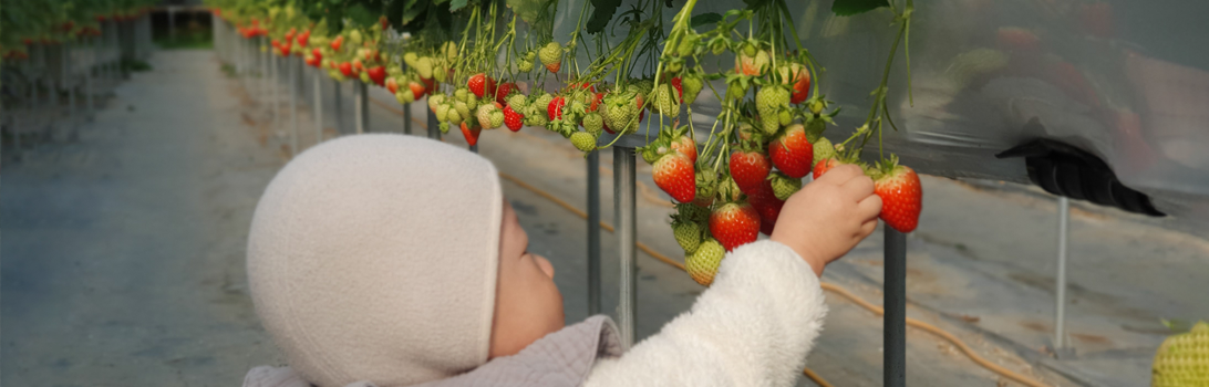 율봄식물원 전경4