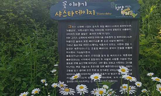 목현동 구간 꽃길 사진